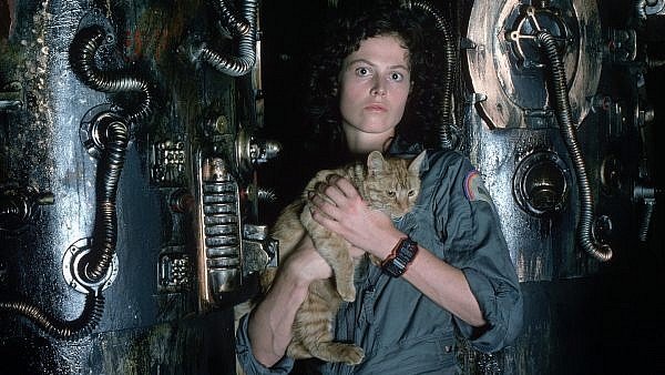 รีวิวหนัง ซี รี่ ย์ netflix Alien 1979